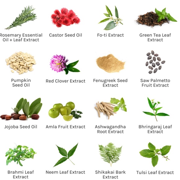 The Innate Life - Rosemary scalp treatment - re-grow hair - Picture 6 of 6